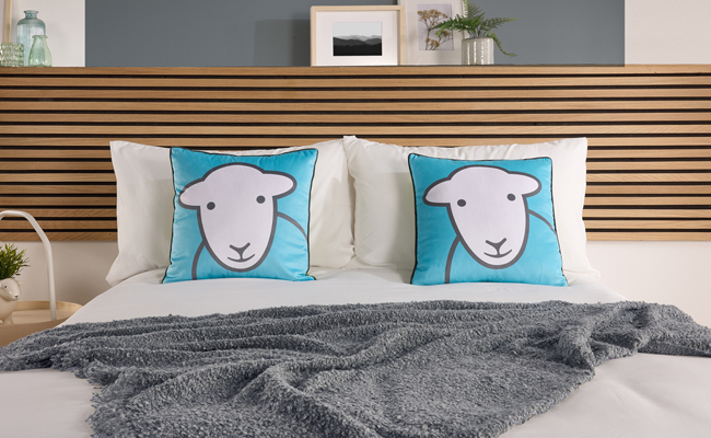 Cushions Cushions