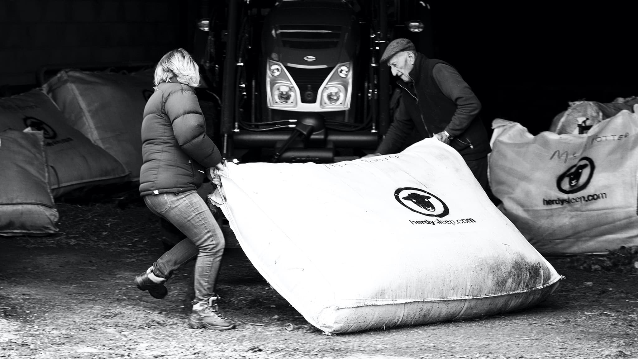 collecting Herdwick wool from a Lake District sheep farm for Herdysleep mattresses