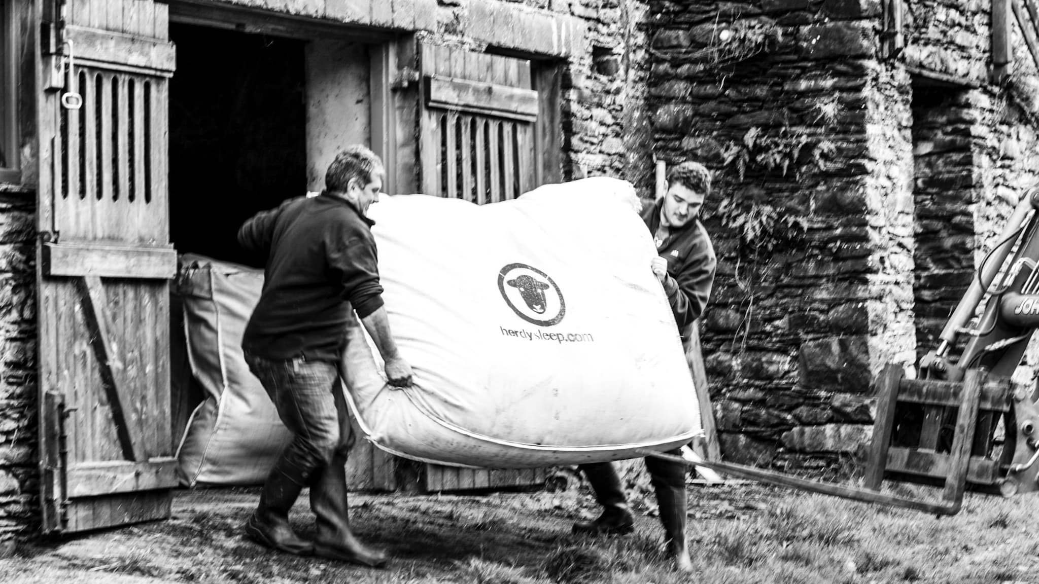 collecting Herdwick wool from a Lake District sheep farm for Herdysleep mattresses