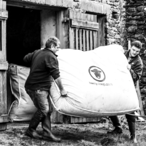 Using Herdwick Wool: Helping the Herdwick
