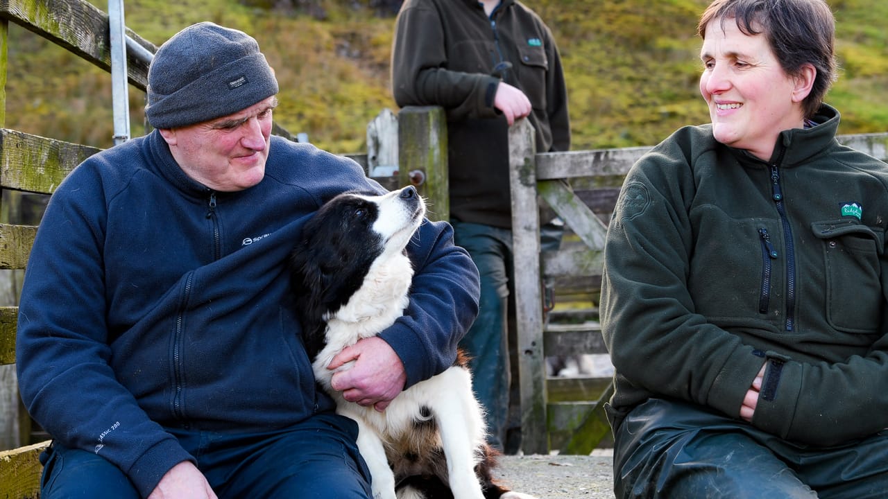 Glencoyne Herdwick Farmers with sheepdog
