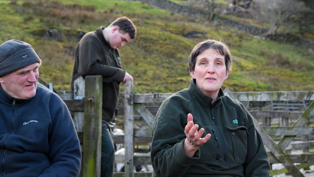Glencoyne Herdwick Farmers, Lake District