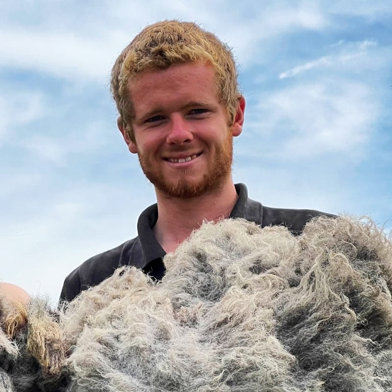 Young cumbrian farmer holding Herdwick fleece