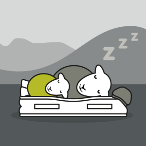 How A Wool Mattress Helps You Sleep In The Heat