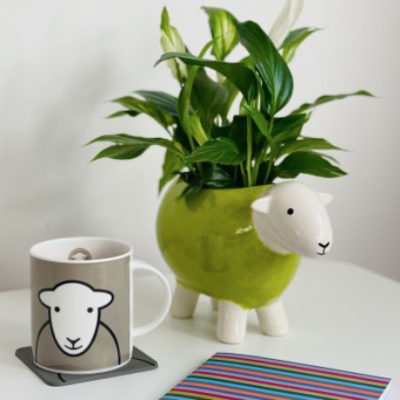 a green Herdy planter with a peace lily planted inside, alongside a grey herdy mug