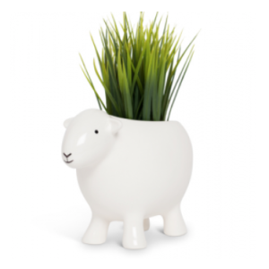 a white herdy planter
